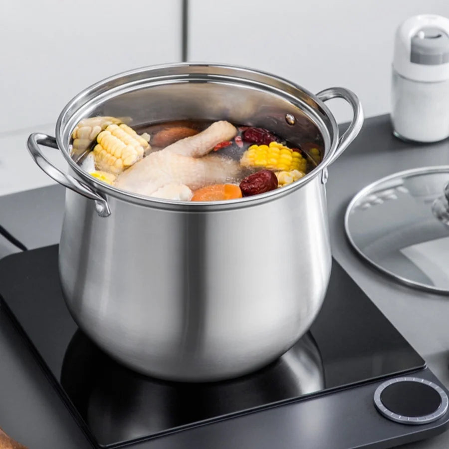 Large Stainless Steel Stock Pot
