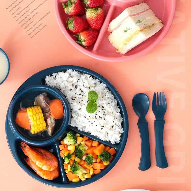 Bariatric Portion Meal Food Diet Planning Weight Plates