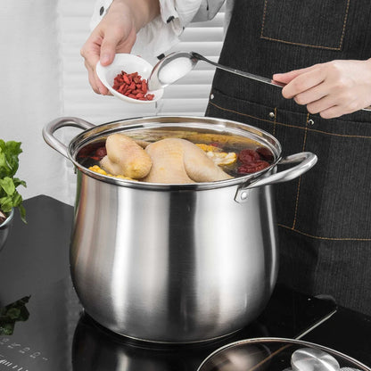 Large Stainless Steel Stock Pot